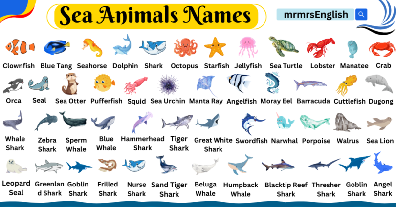 Sea Animals Name in English with Images
