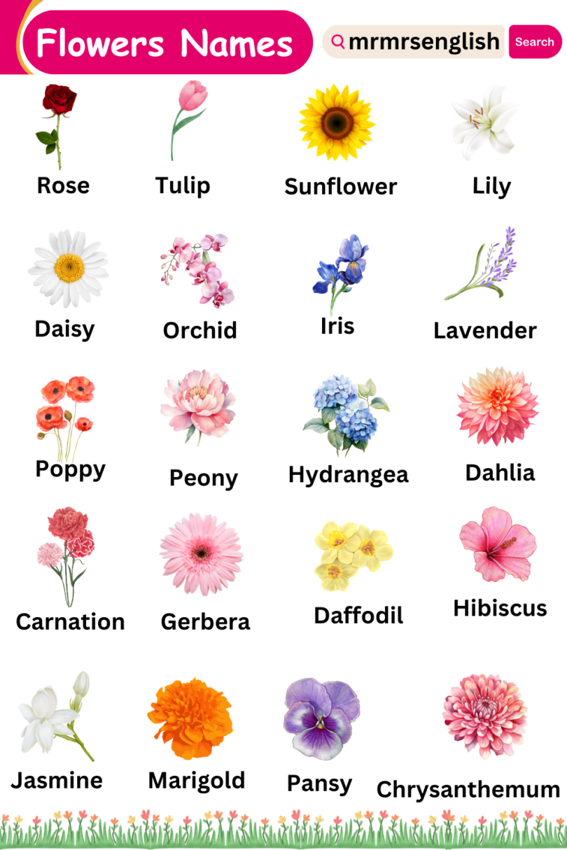 Different types of flowers names vocabulary and Pictures - MR MRS ENGLISH