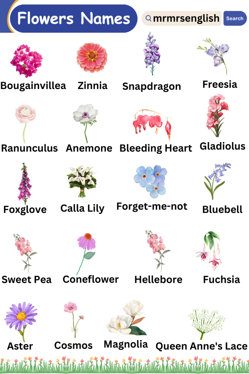 Different types of flowers names vocabulary and Pictures - MR MRS ENGLISH