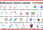 Bathroom items names in English with Pictures