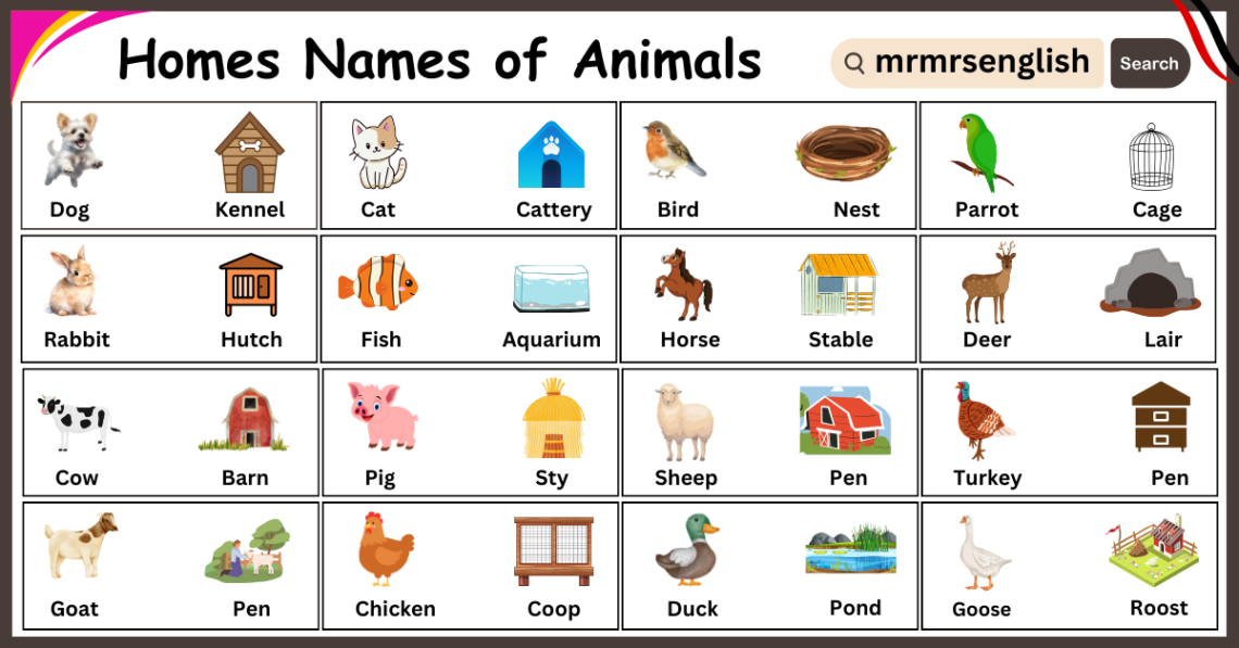 Homes Names of Animals and Their Images in English - MR MRS ENGLISH