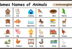 Homes of Animals and Their Images in English