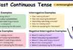 Past Continuous Tense Example Sentences in English