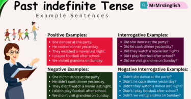 Past indefinite Tense Example Sentences in English