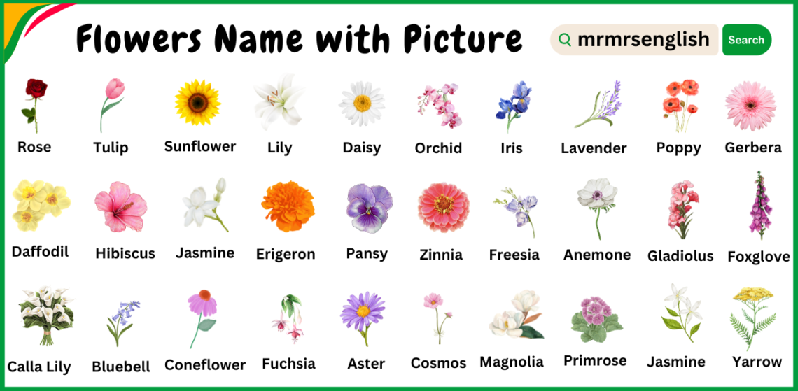 Different types of flowers names vocabulary and Pictures - MR MRS ENGLISH