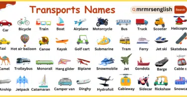 Types of Transports Names vocabulary in English with Images
