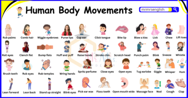 Humans Body Movements Names Vocabulary and Their Pictures