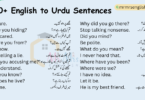 100+ English to Urdu Sentences Used in Daily life