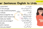 100 Anger Sentences in English to Urdu