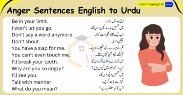 100 Anger Sentences in English to Urdu