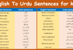 100 English To Urdu Sentences for kids