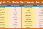 100 English To Urdu Sentences for kids