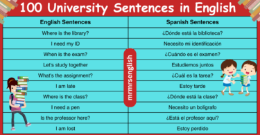 100 University Sentences in English with Spanish