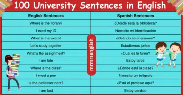 100 University Sentences in English with Spanish