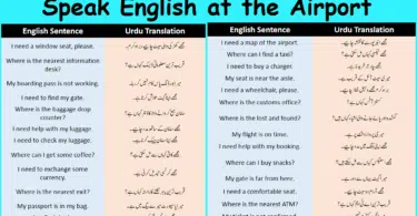 Speak English at the Airport
