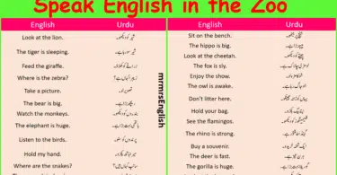 Speak English in the Zoo