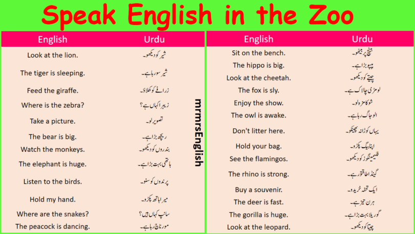 Speak English in the Zoo