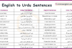 100 English Sentences with Urdu Translation with PDF Book