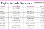 100 English Sentences with Urdu Translation with PDF Book