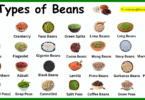 Different Types of Beans Names in English and Their pictures