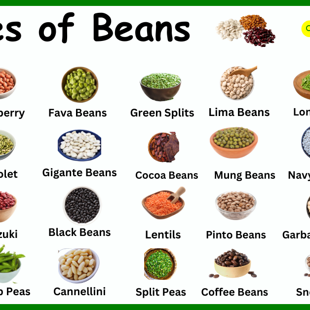 Indian Coffee Beans Names
