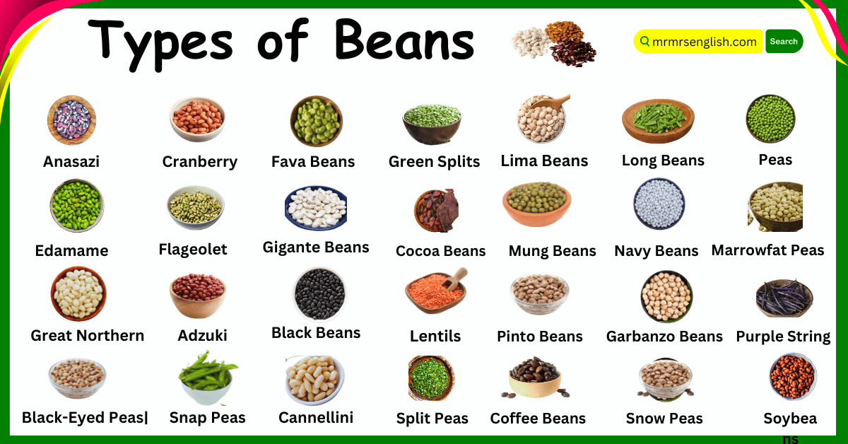 Different Types of Beans Names in English and Their pictures - MR MRS ...