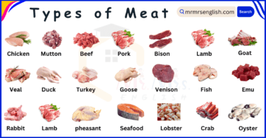 Different Types of Meat Names in English and Their Pictures