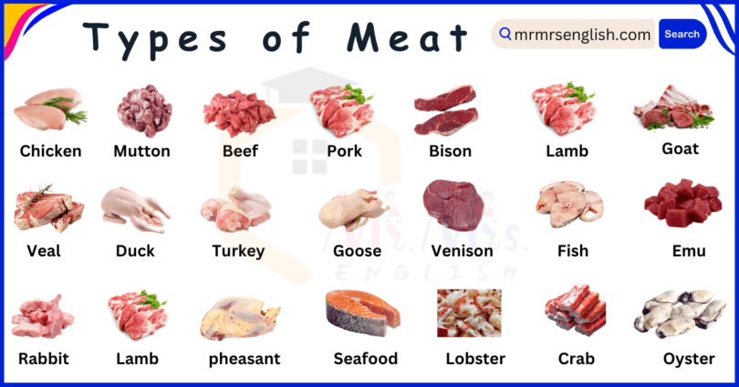 Different Types of Meat Names in English and Their Pictures