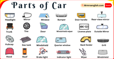 Parts of Car Names in English