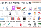 School Items Names for Kids in English