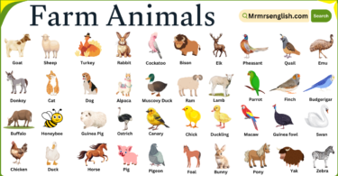 Farm Animals Names in English with Their Pictures