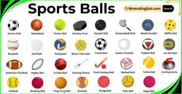 Types Of Sports Balls Names in English