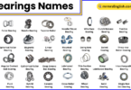 Different Types of Bearings Names in English with Pictures