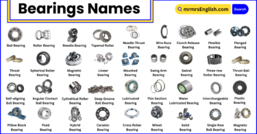 Different Types of Bearings Names in English with Pictures