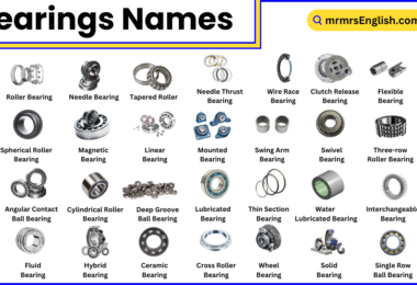 Different Types of Bearings Names in English with Pictures