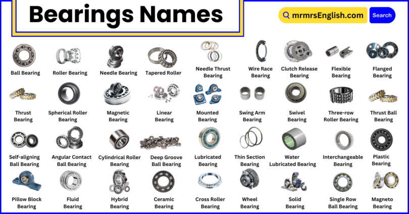 Different Types of Bearings Names in English with Pictures