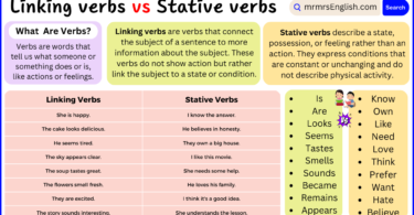 Linking verbs vs Stative verbs Explained with Example Sentences