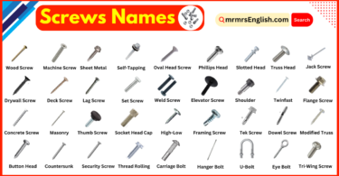 Screws Names in English and Their Pictures