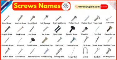 Screws Names in English and Their Pictures