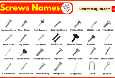 Screws Names in English and Their Pictures