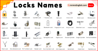 Types of Locks names in English and their Pictures