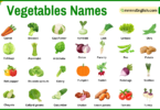 Vegetables Names in English and their Pictures