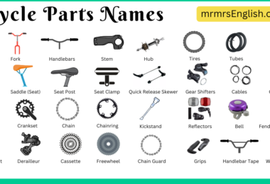 Bicycle Parts Names in English and Pictures