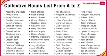 Collective Nouns List From A to Z in English and their Pictures
