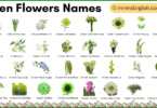 Green Flowers Names in English and Pictures