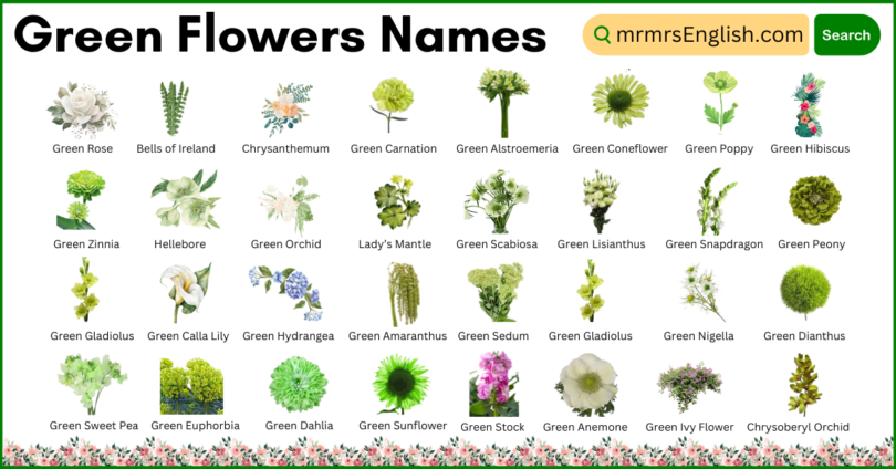 Green Flowers Names in English and Pictures