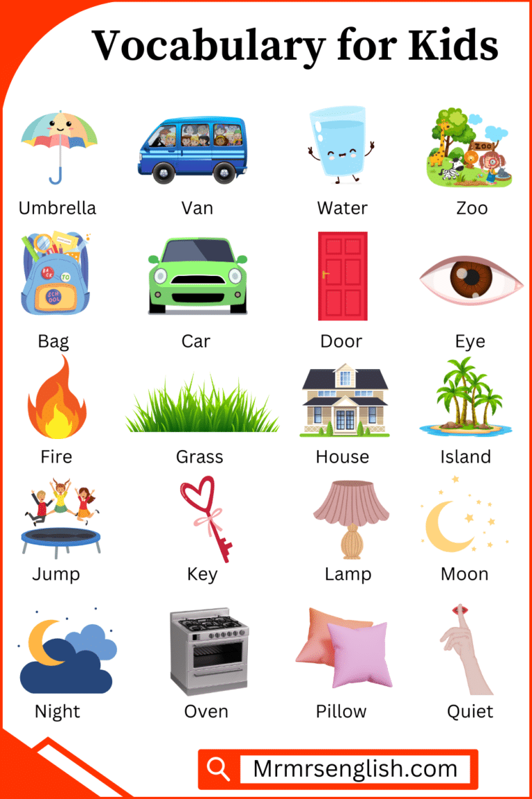 Basic Vocabulary Words For Kids With Their Pictures Mr Mrs English