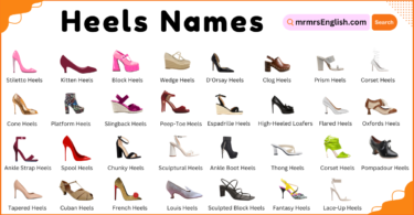 Types of Heels Names in English and their Pictures