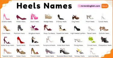 Types of Heels Names in English and their Pictures