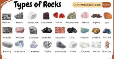 Types of Rocks Names in English and Their Pictures